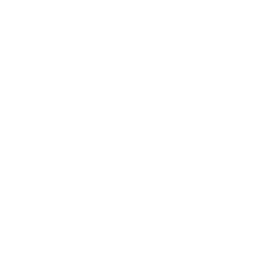 Bronze Medal Icon